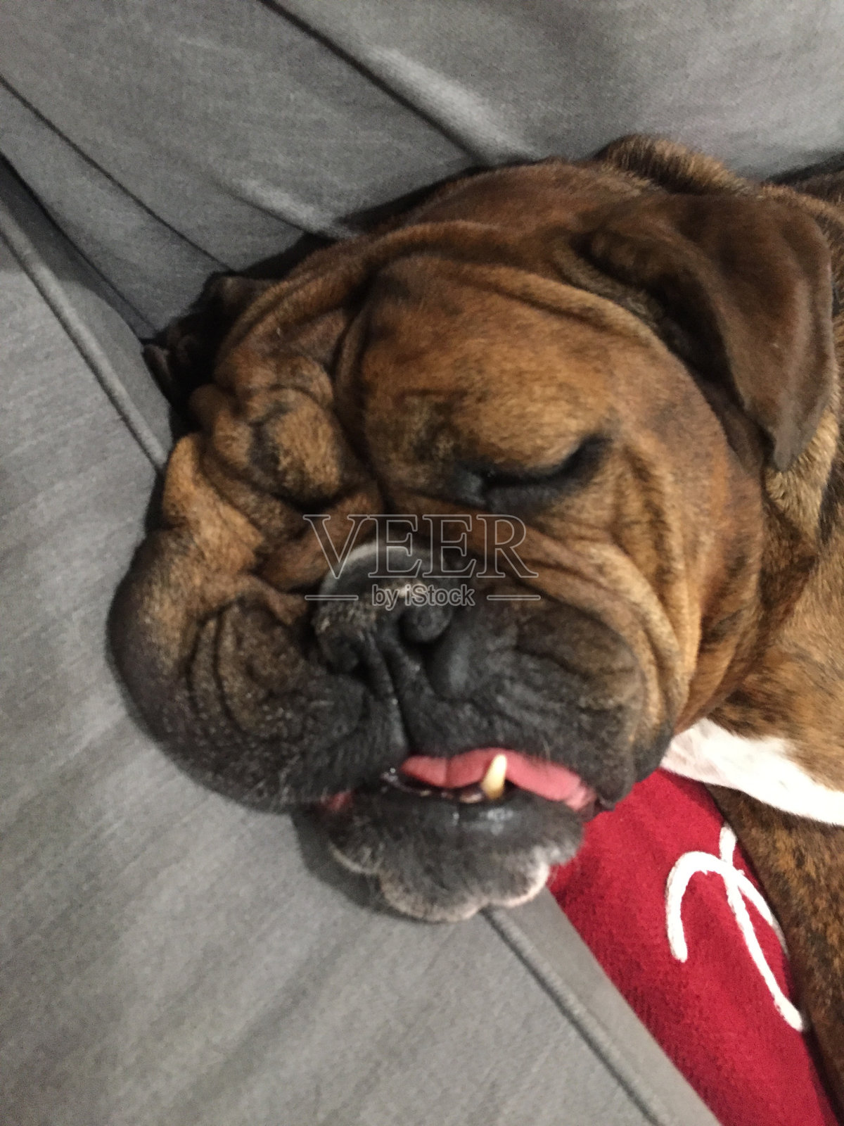 糊状的脸照片摄影图片