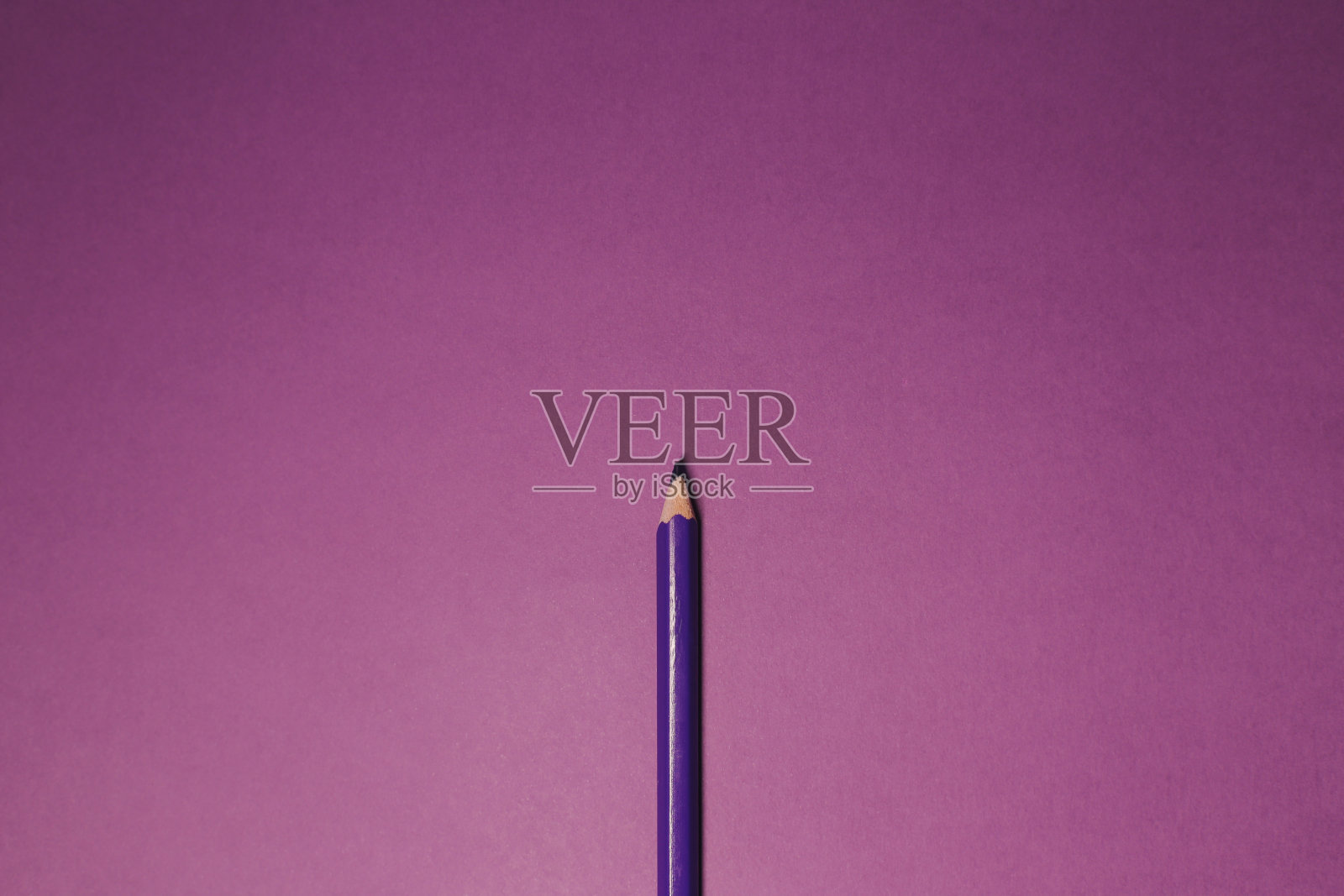 紫色的铅笔照片摄影图片