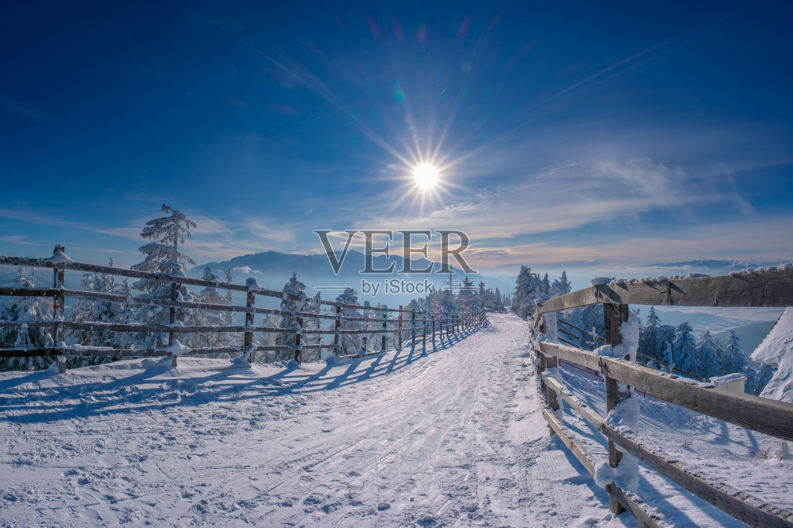 风景优美的冬季仙境。山顶上的徒步路线,冷杉树覆盖着冰冻的雪。晴朗的蓝天,阳光明媚的冬日照片摄影图片