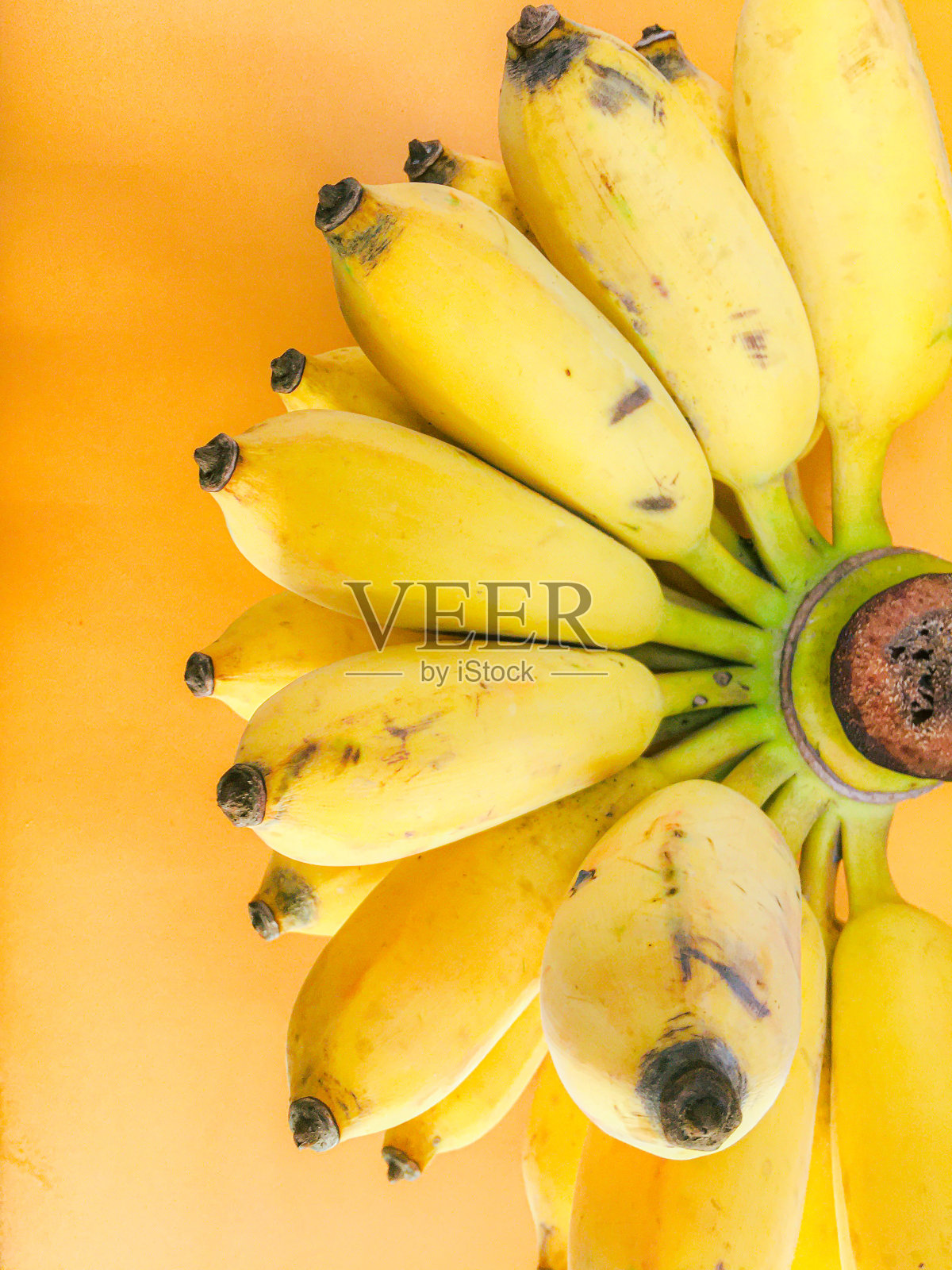 栽培的香蕉在亚洲很流行。照片摄影图片