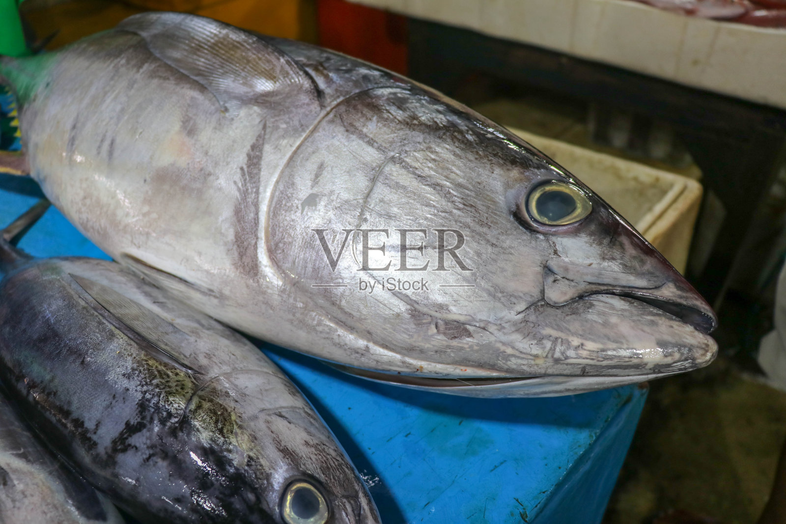 金巴兰鱼市冰上的新鲜海鲜。金巴兰鱼市出售的新鲜金枪鱼。Kedonganan鱼市出售的异国情调的新鲜鱼。传统鱼市中的异国鱼类照片摄影图片