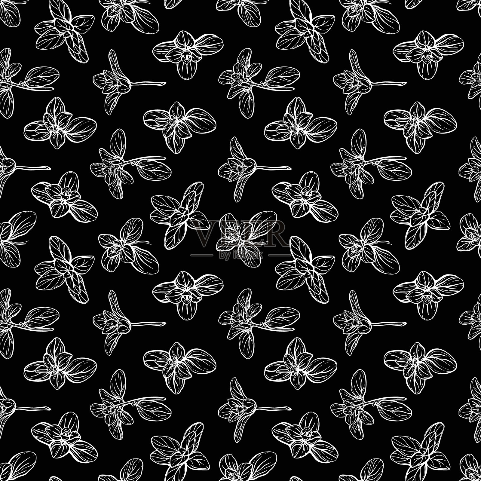 罗勒无缝模式。意大利草药插画图片素材