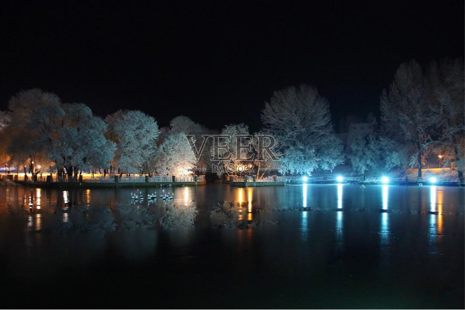 湖树雪夜照片摄影图片