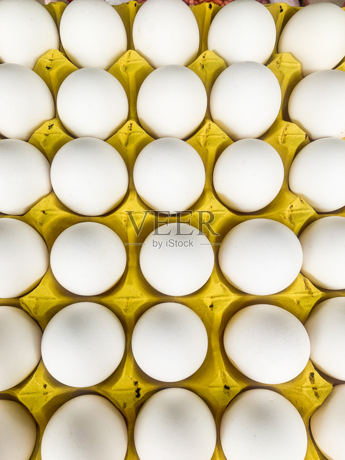 蛋照片摄影图片