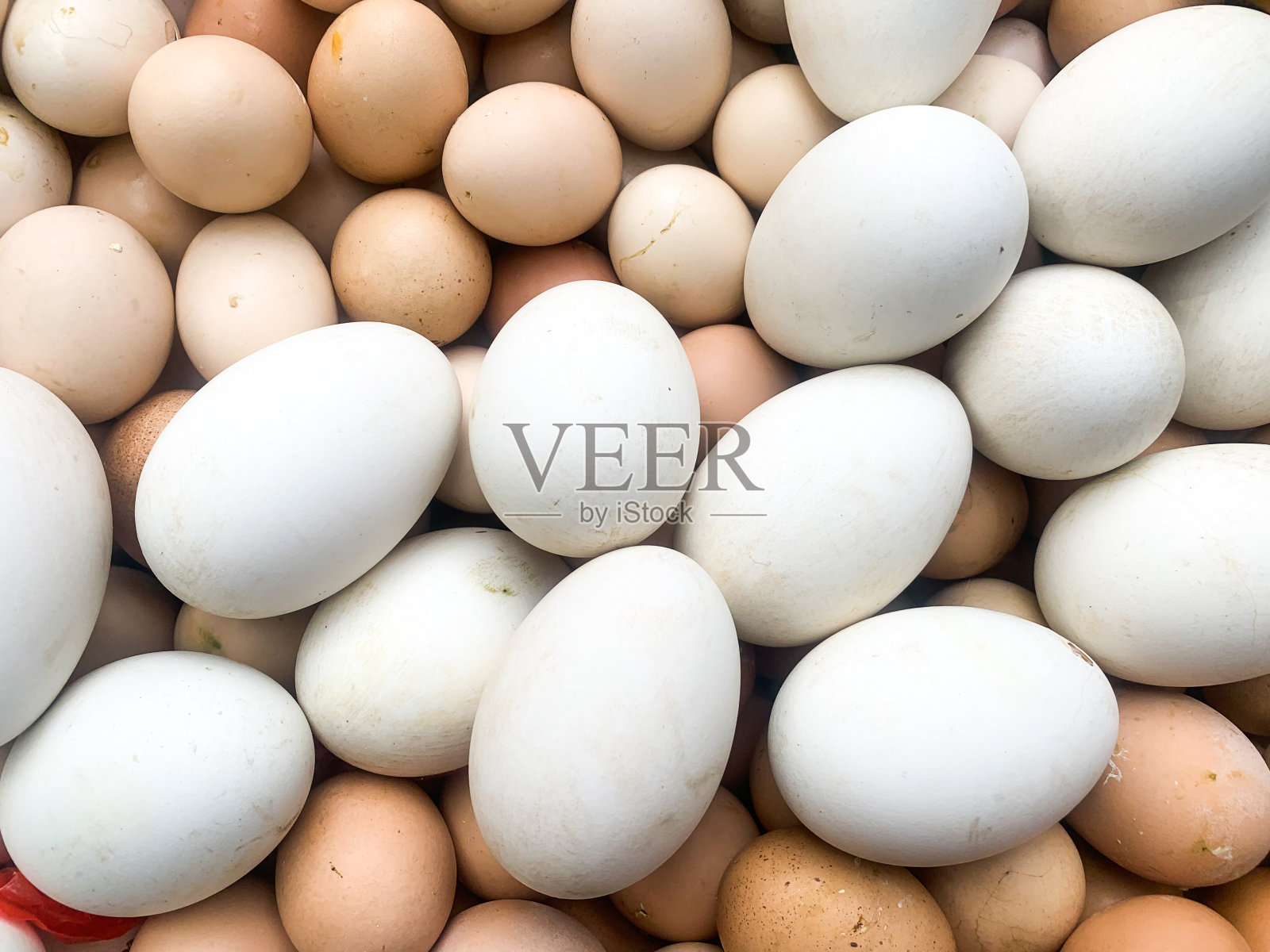 蛋照片摄影图片