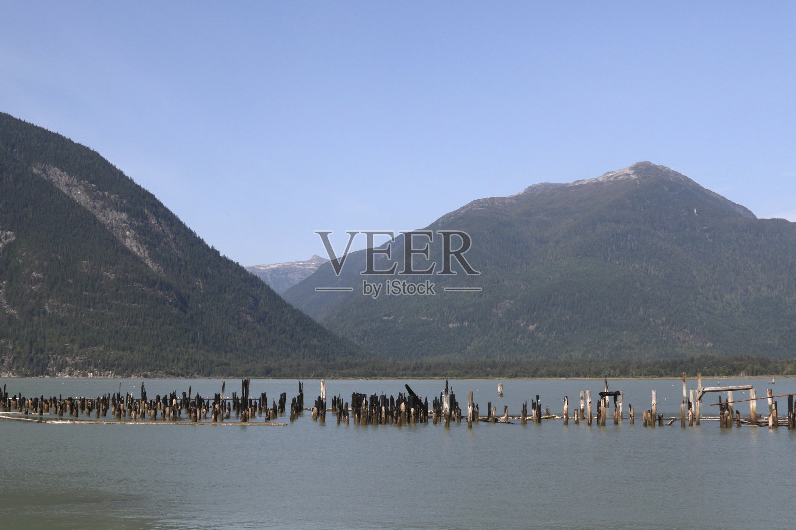 不列颠哥伦比亚省贝拉库拉港的旧码头遗迹照片摄影图片