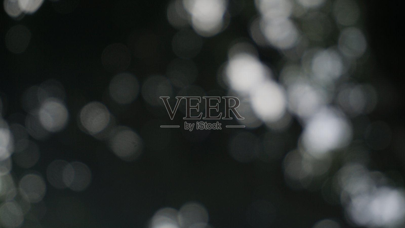 太阳透过树叶照出来的散焦照片照片摄影图片