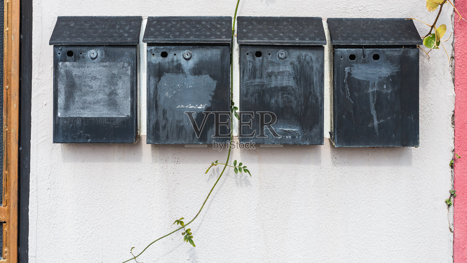 特写镜头照片摄影图片