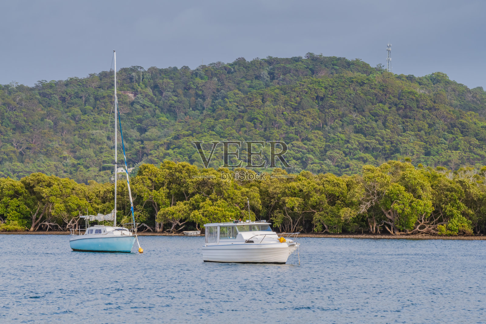 船和鸭子在海滨照片摄影图片
