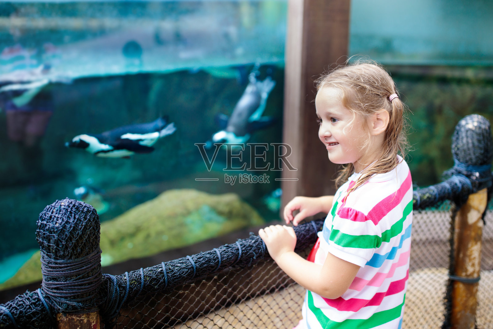 孩子们在动物园看企鹅。野生动物园里的孩子。照片摄影图片