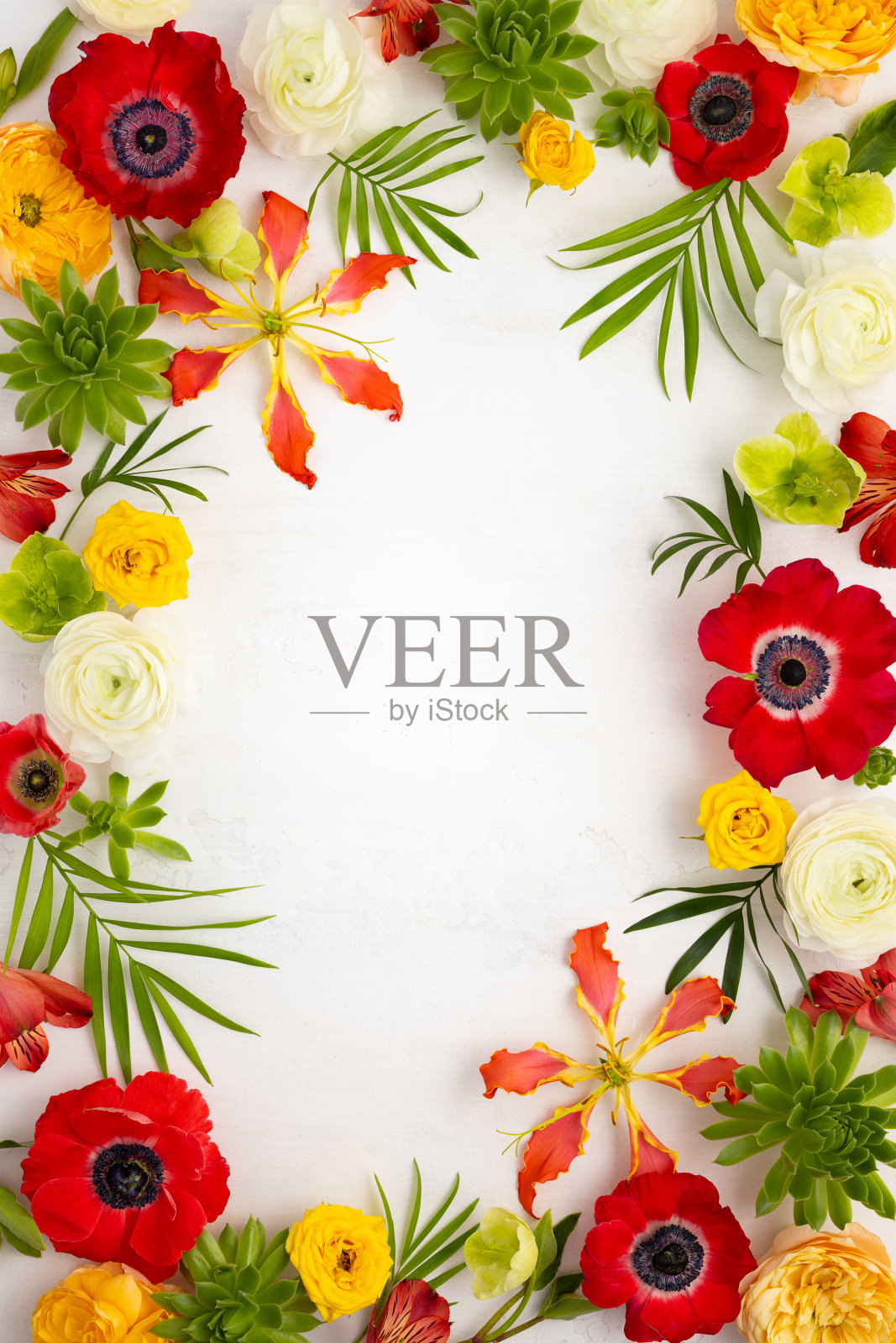 框架花组成。安排海葵,玫瑰,毛茛属植物,热带花,多汁和叶片在光背景。照片摄影图片