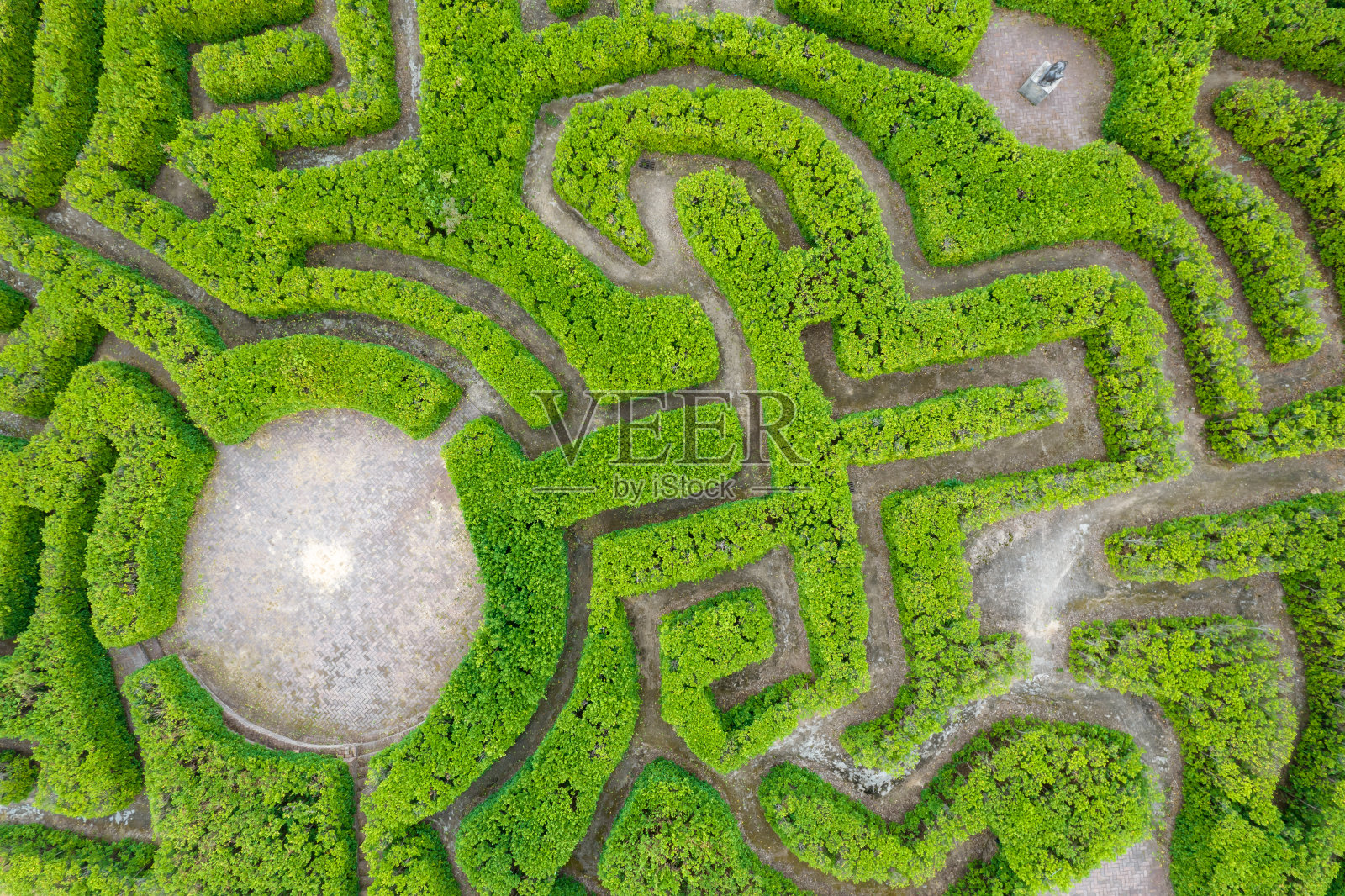 树迷宫的鸟瞰图照片摄影图片