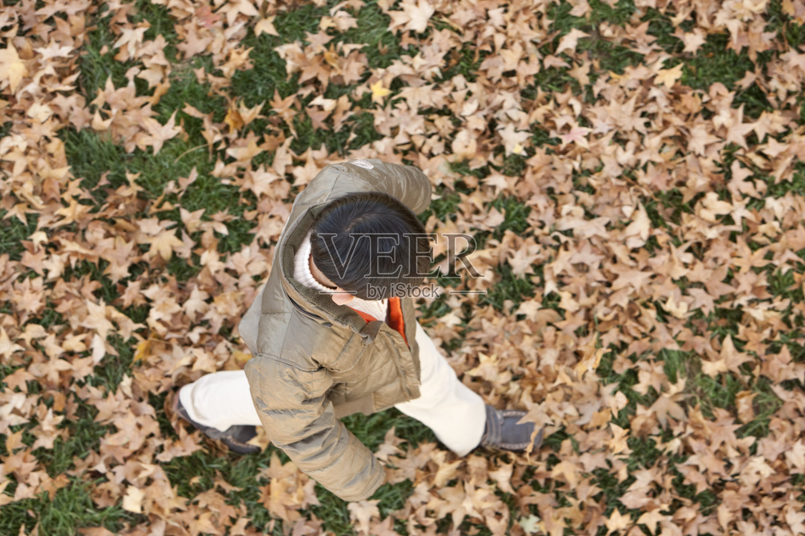 青年男子走在铺满落叶的草地上照片摄影图片