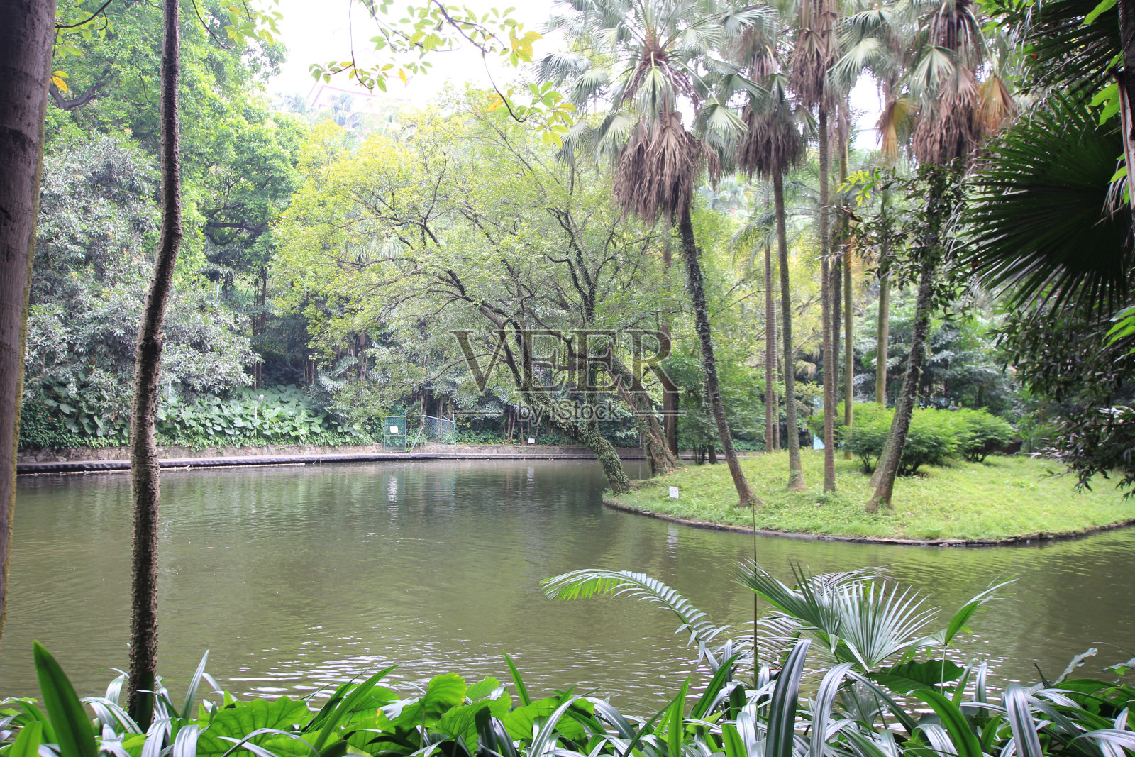 广东省广州越秀公园照片摄影图片