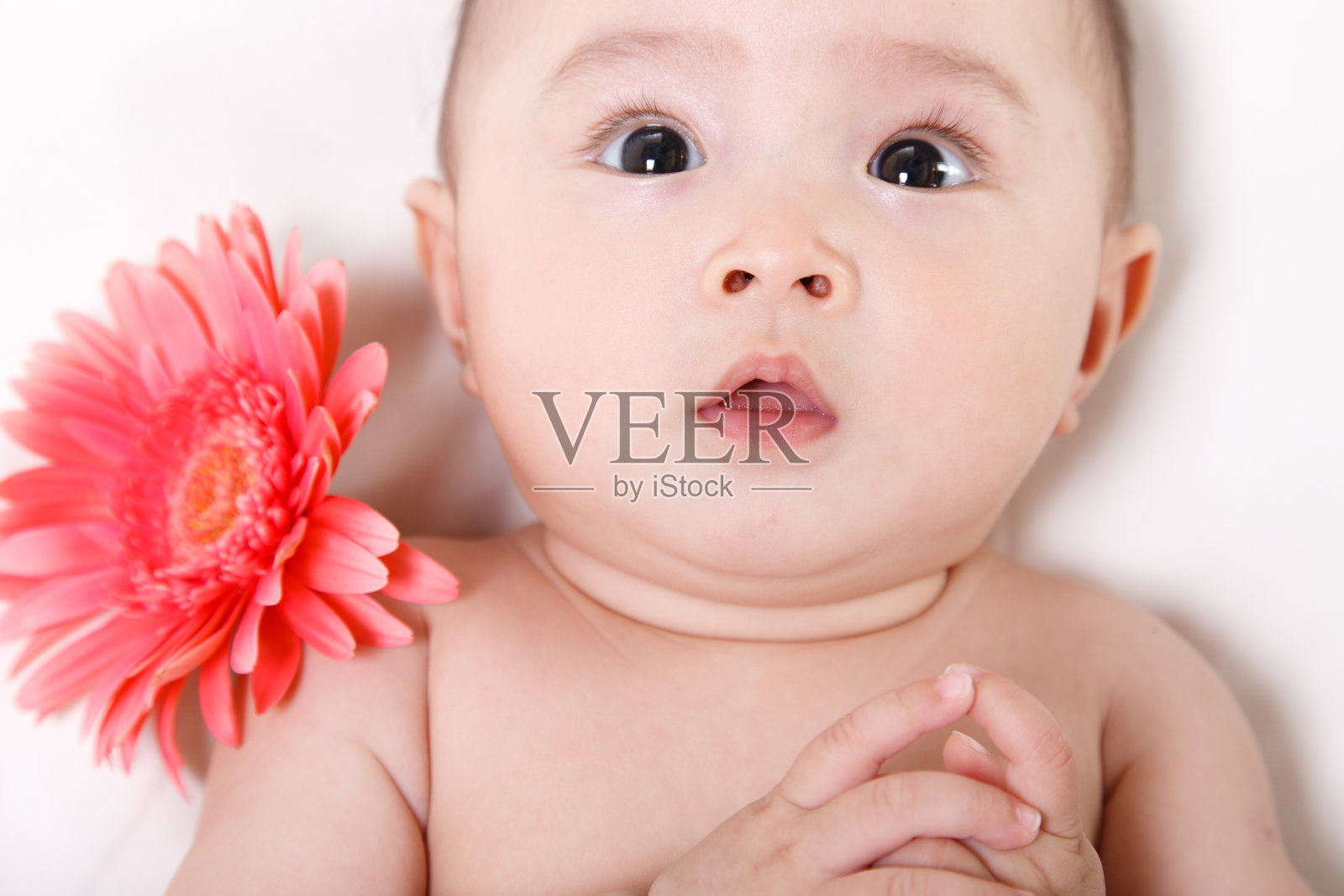 东方婴儿照片摄影图片