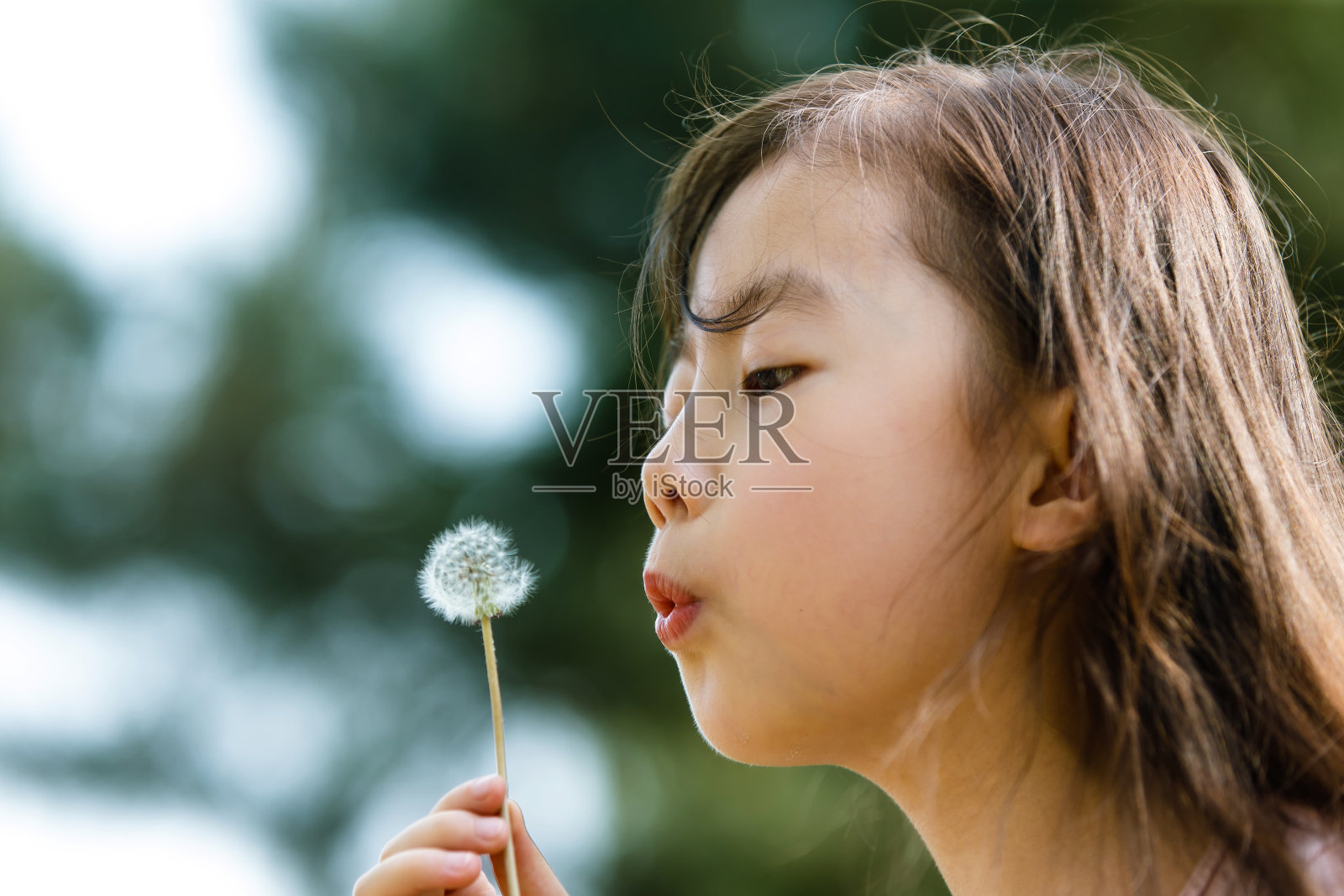 可爱的女孩在户外照片摄影图片