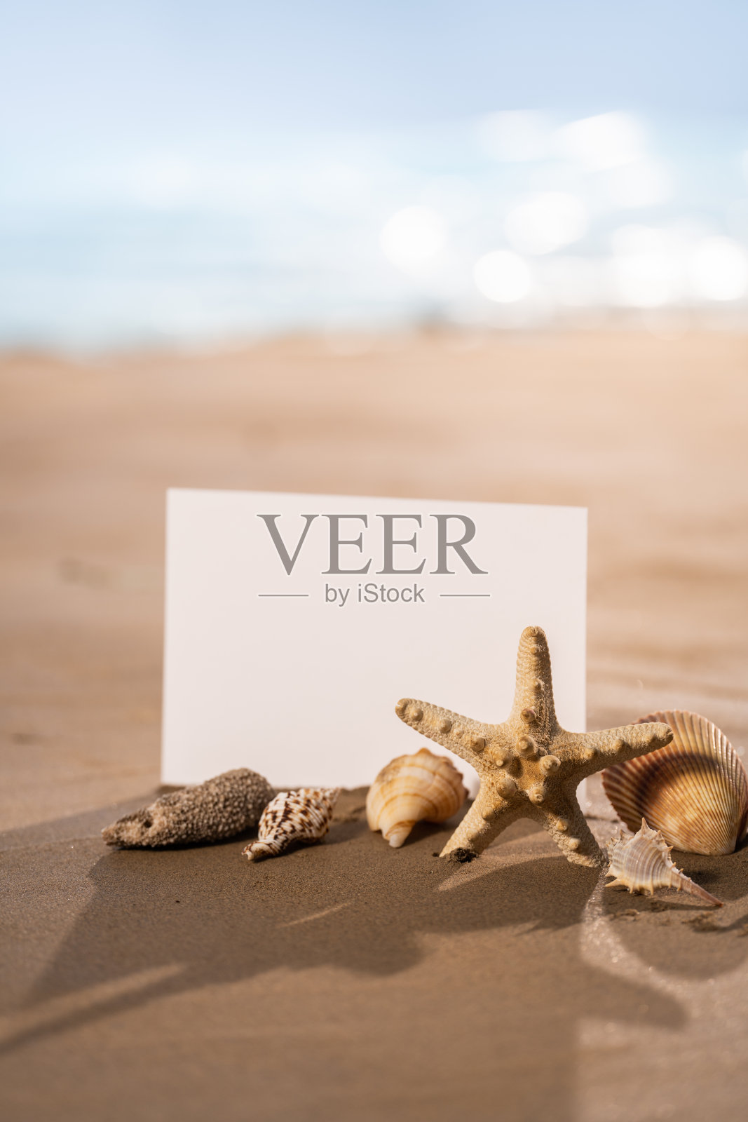 沙滩静物照片摄影图片