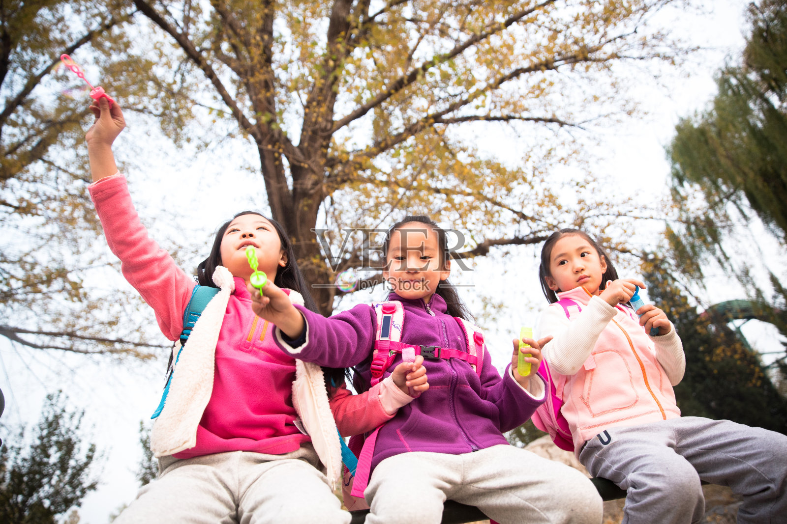 小学生在户外玩耍照片摄影图片