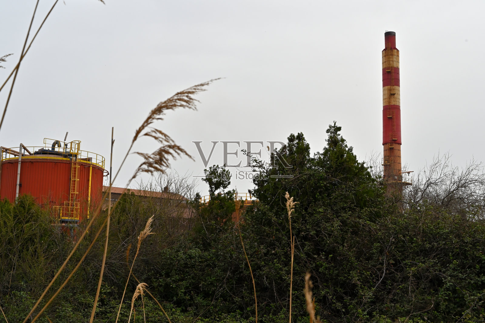 干药草后面的红色工厂烟囱照片摄影图片