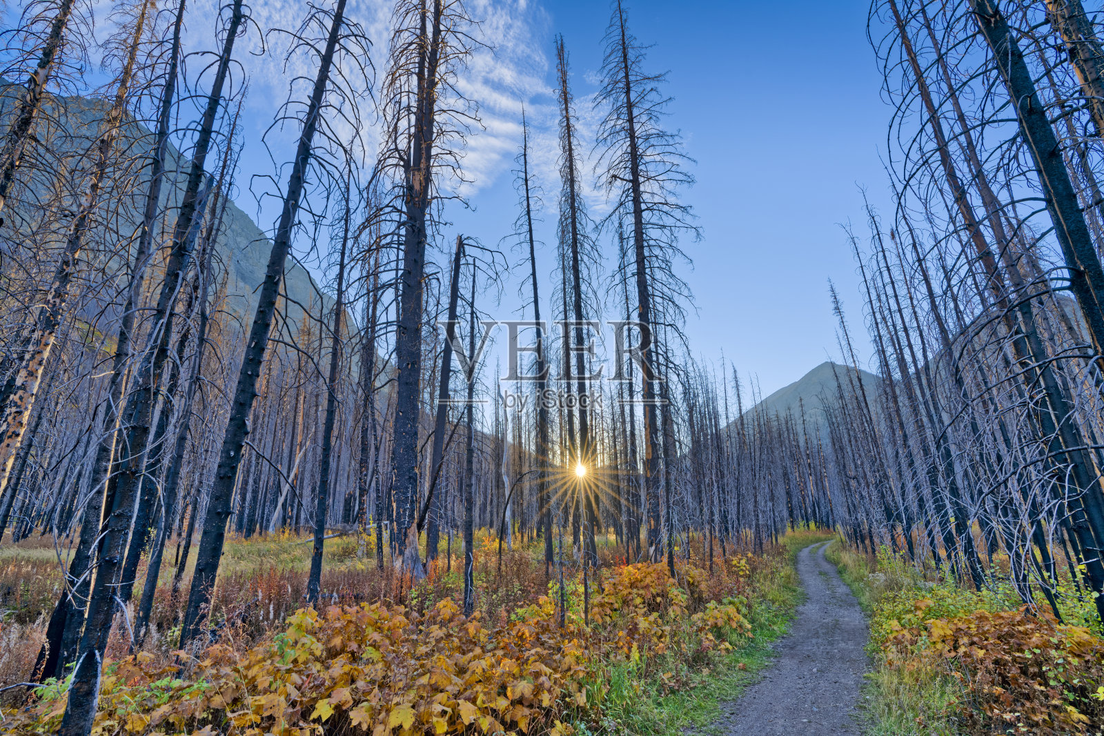 加拿大亚伯达省沃特顿国家公园照片摄影图片