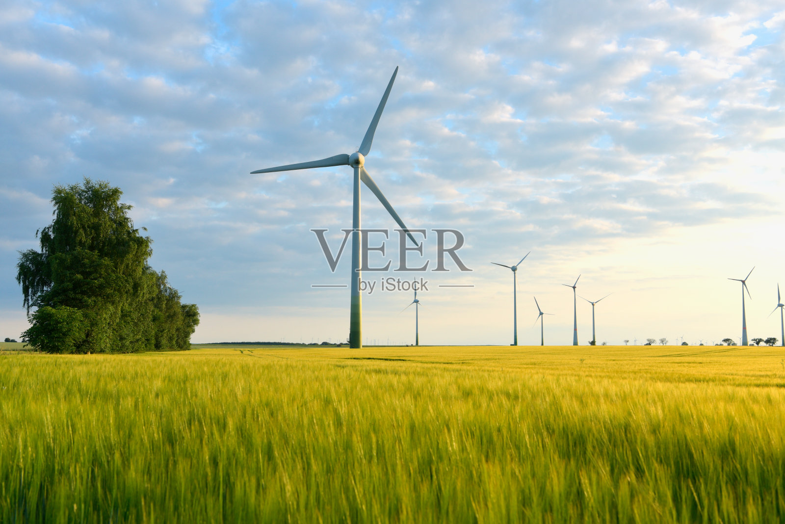 可再生能源-风力涡轮机在风电场发电照片摄影图片