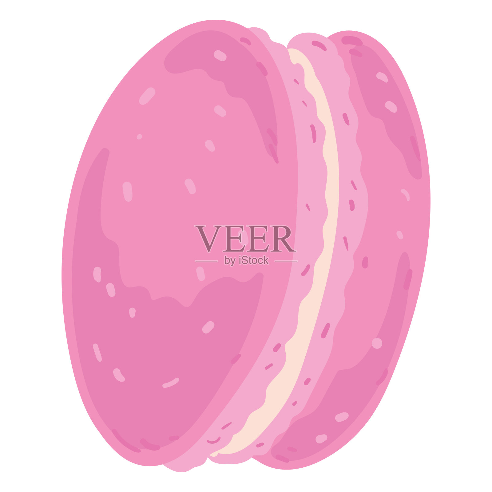 孤立的糖饼干烘焙产品与细节向量设计元素图片