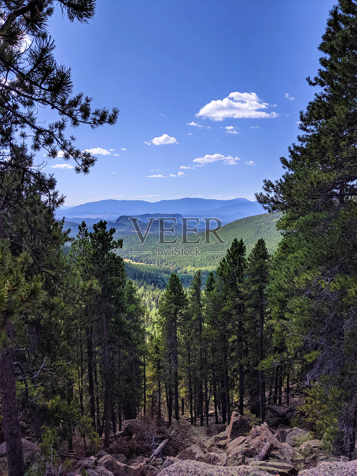 俯瞰斯丹顿牧场公园小径照片摄影图片