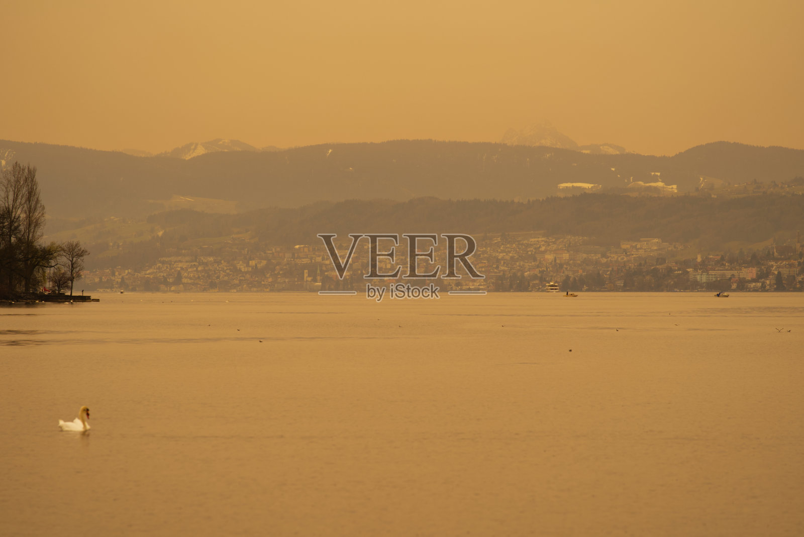 湖Zürich从Zürich市看到橙色的天空,因为撒哈拉沙漠的灰尘和天鹅在一个春天的一天。照片摄影图片