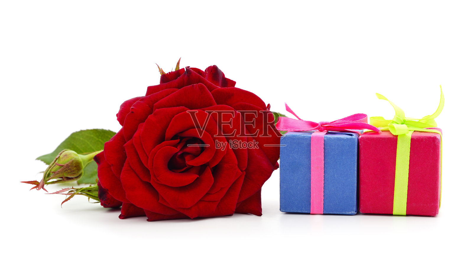 美丽的红玫瑰和礼物。照片摄影图片