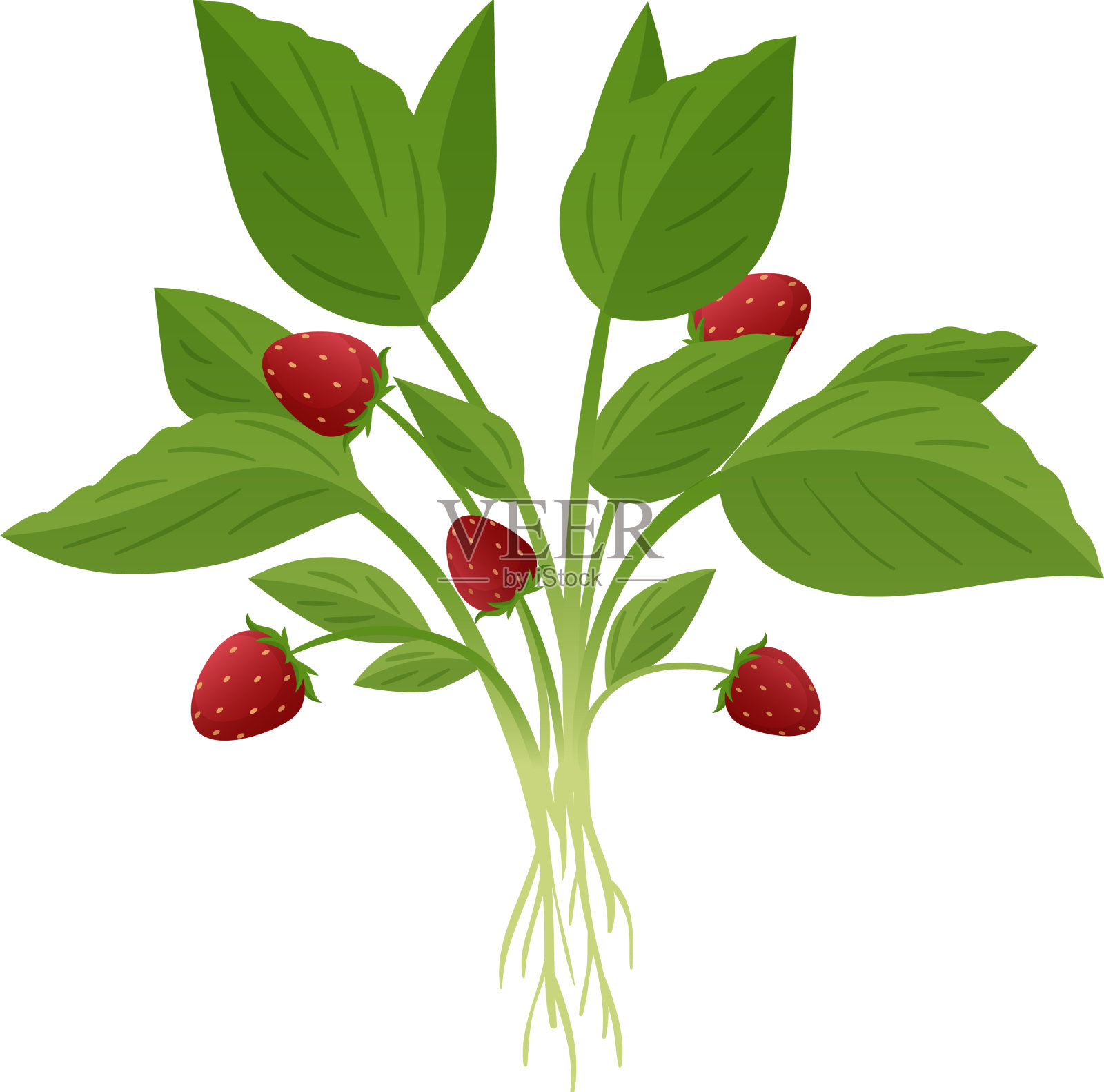 温室草莓成分分析设计元素图片