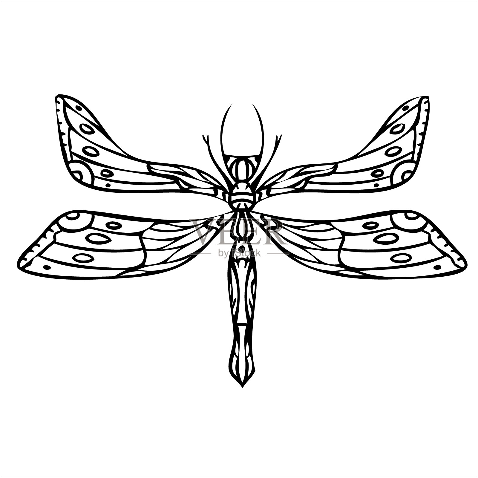 蜻蜓手绘插图。黑白背景。插画图片素材