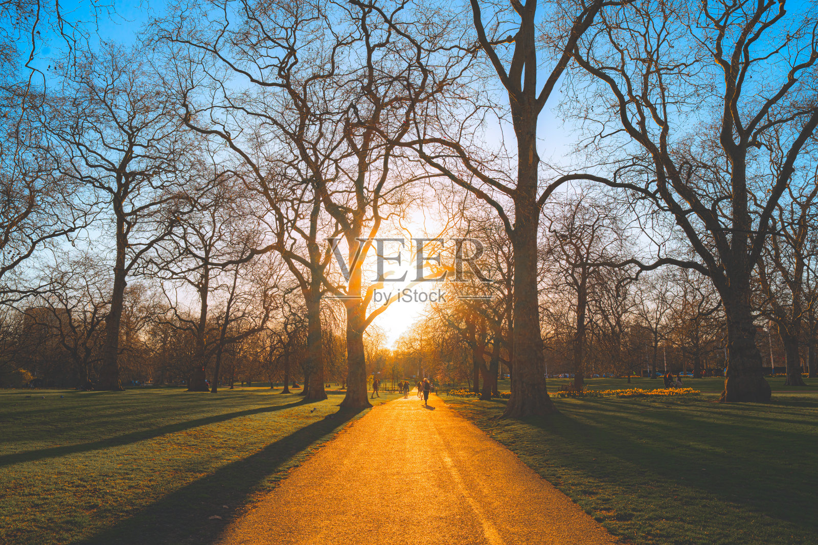 日落时分在城市公园的大街上照片摄影图片