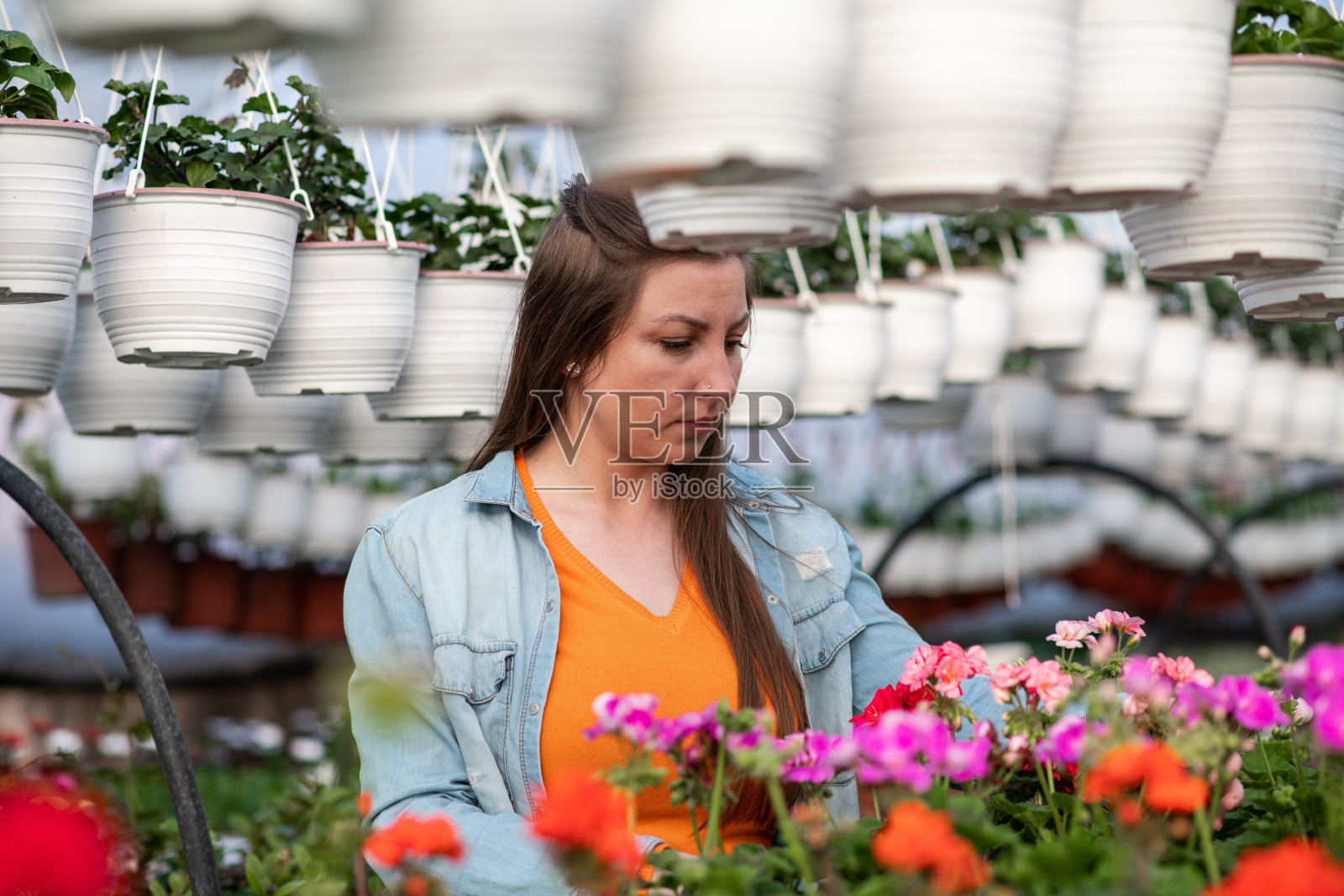 一个在花房工作的年轻园丁的肖像照片摄影图片