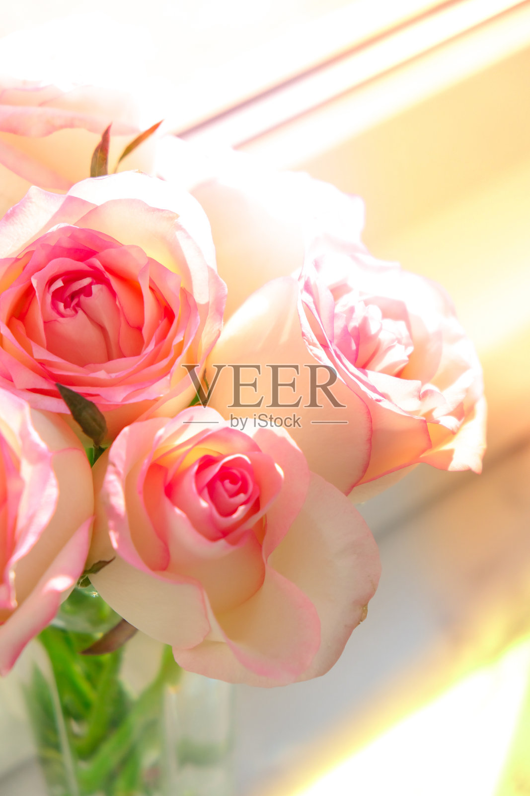 窗台上的花瓶里插着娇嫩的粉红玫瑰。最小的组合。花束的抽象艺术概念。浪漫的粉彩组合玫瑰花。现代美学照片摄影图片