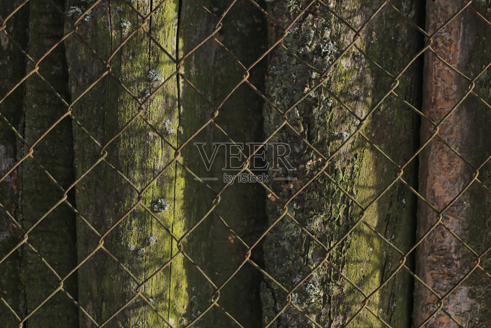 旧木头墙照片摄影图片