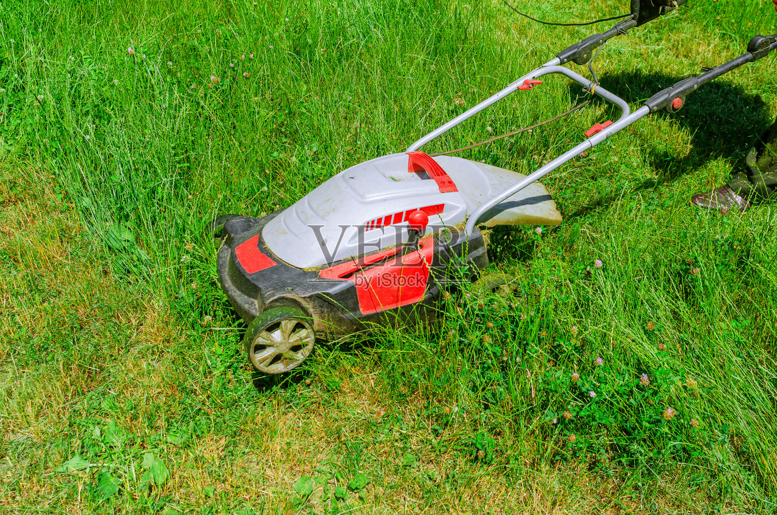 电动割草机是用来割草的。特写镜头。照片摄影图片