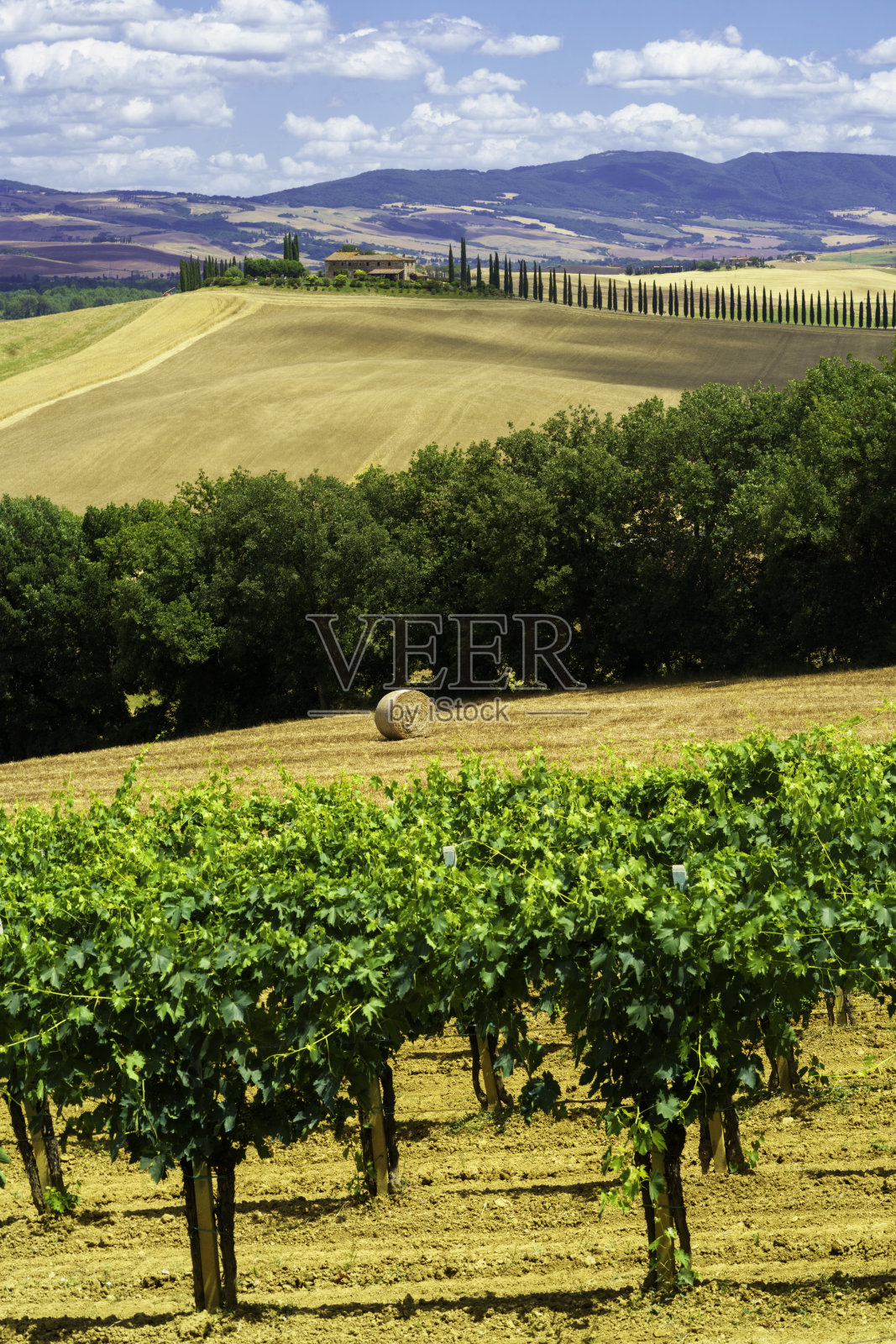 托斯卡纳锡耶纳Castiglione附近的乡村景观照片摄影图片