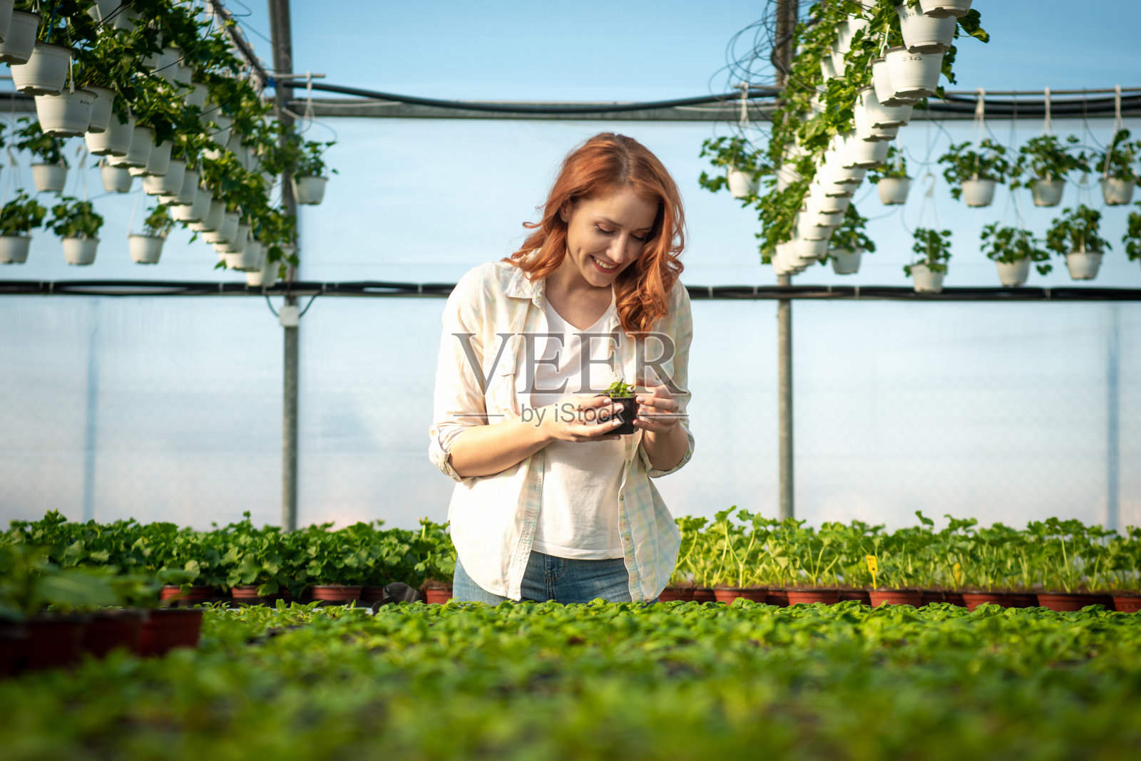 花店女孩照片摄影图片