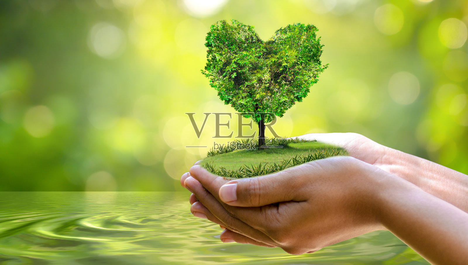 环境地球日在树苗的手中成长。散景绿色背景女性手握树木,对自然田野草森林保护的概念照片摄影图片