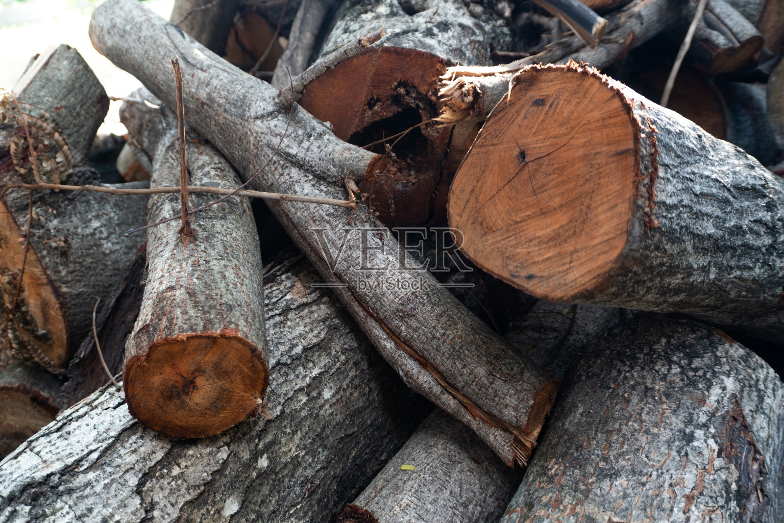 一堆砍下来的树。照片摄影图片