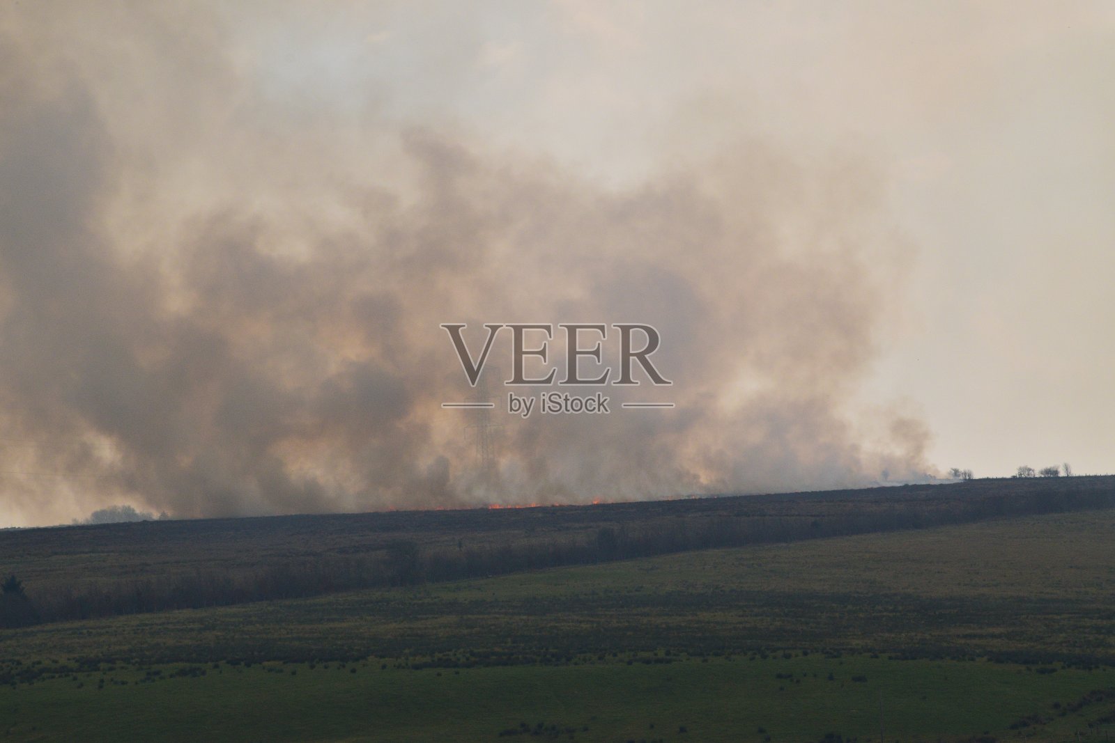 北爱尔兰德里克劳迪县北部的金雀花大火照片摄影图片