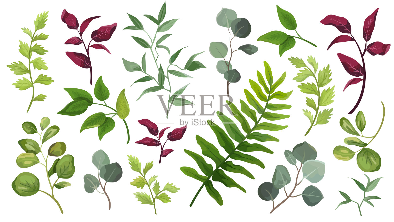 绿叶。装饰美元素插图设计叶片在水彩风格。用于婚礼和请柬插画图片素材