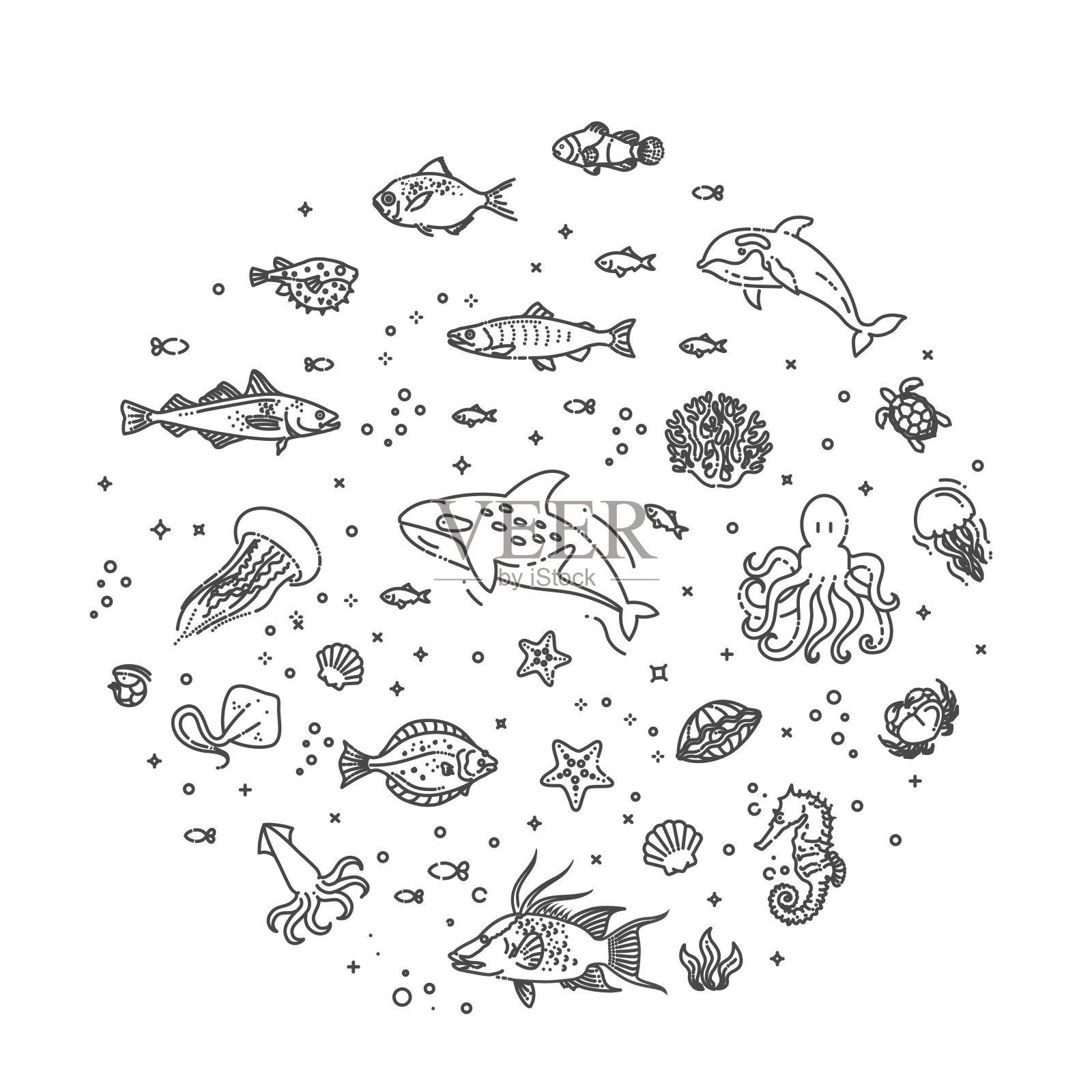 一套海洋或海洋动物图标。矢量图插画图片素材