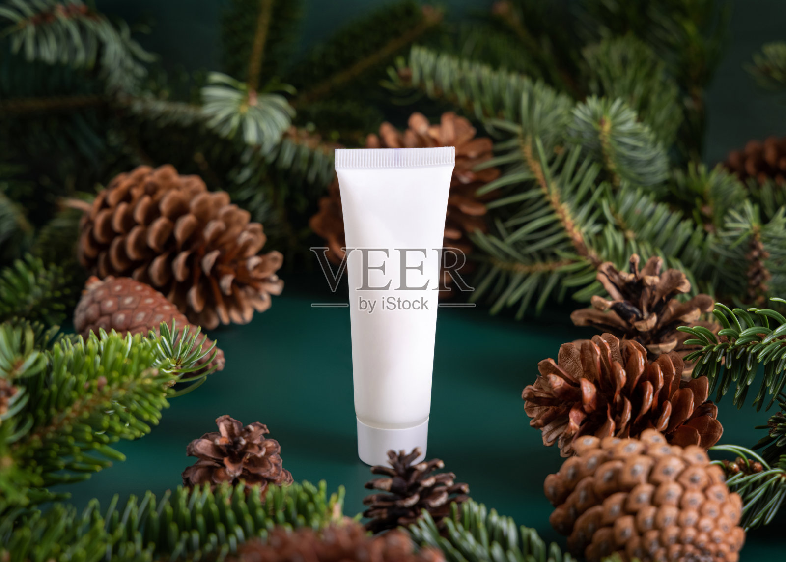 天然有机化妆品乳霜在白色塑料管附近的冷杉枝和松树球果上深绿色关闭照片摄影图片