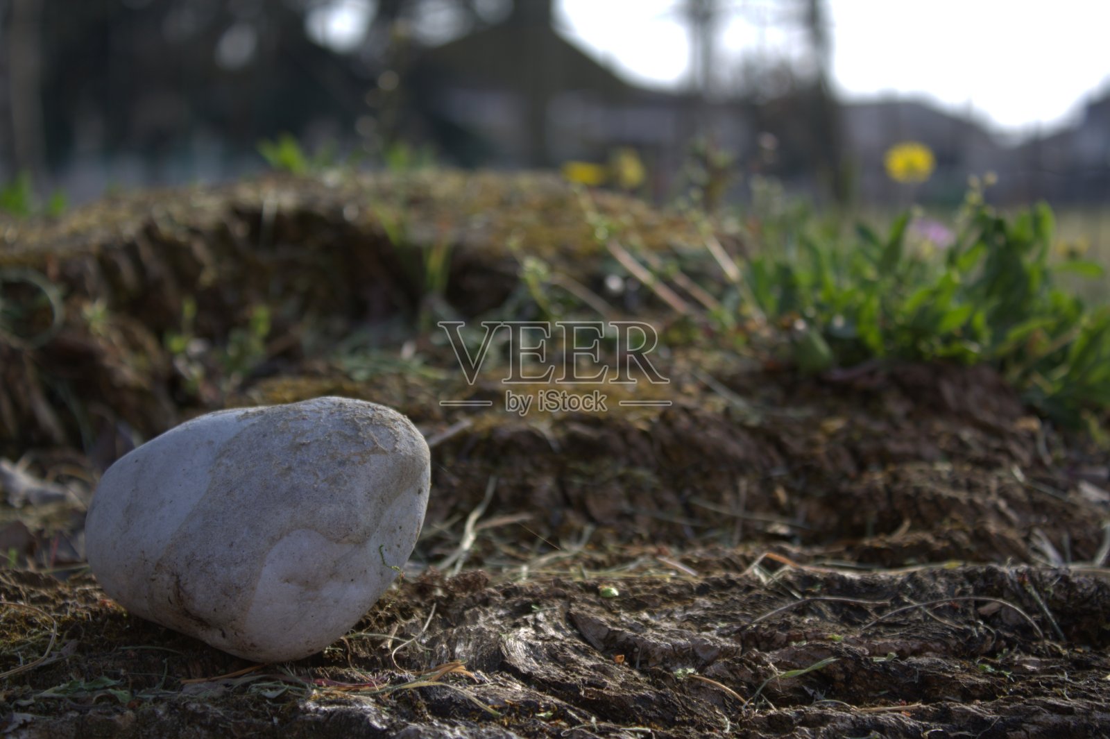 一个梦幻般的自然景象照片摄影图片