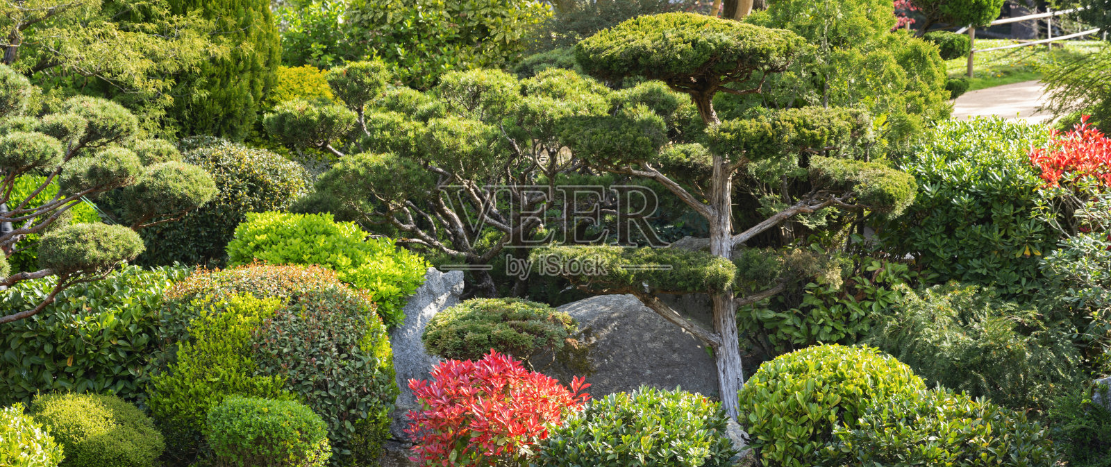 图卢兹著名的日本花园景观照片摄影图片