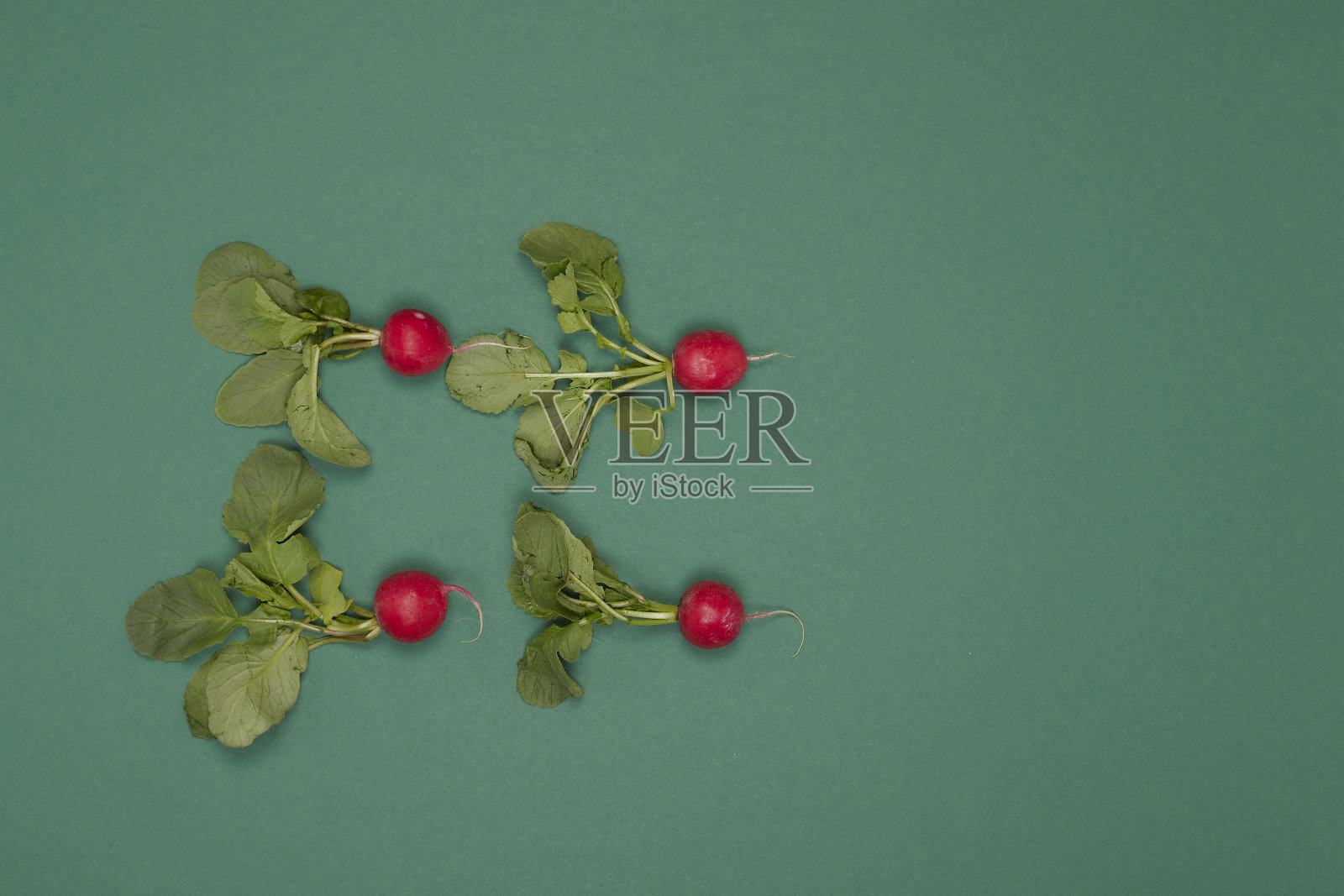 生萝卜与叶在绿色背景照片摄影图片