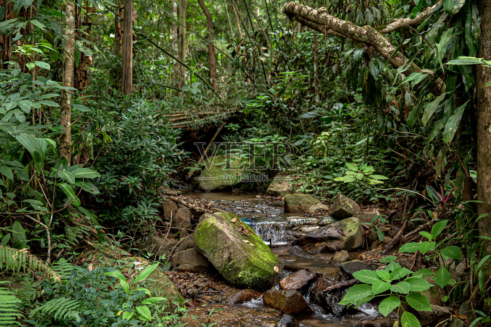 泰国,瀑布,风景-风景,自然,森林照片摄影图片