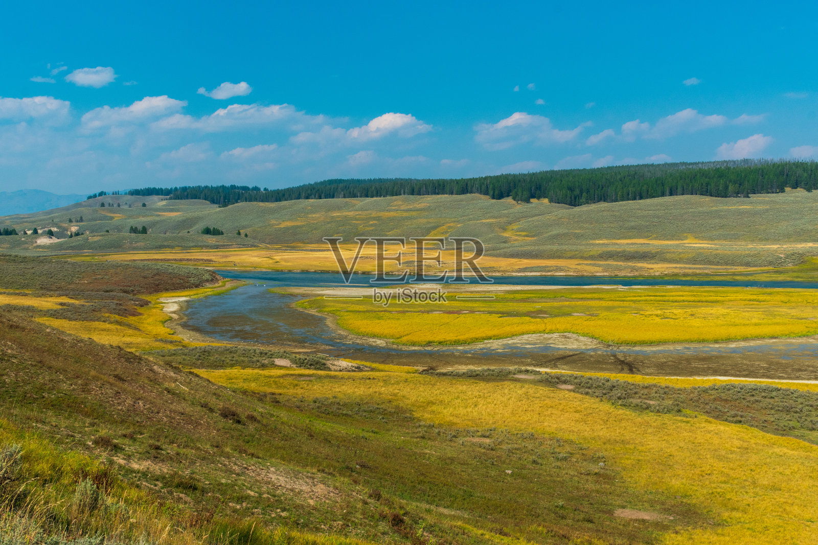 黄石国家公园的海登谷照片摄影图片