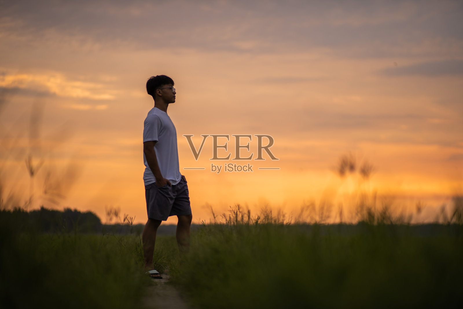 亚裔中国少年站在看远处稻田日落时间。照片摄影图片